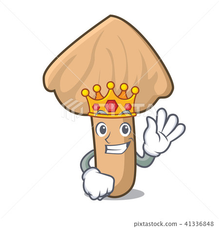 King inocybe mushroom mascot cartoon 41336848