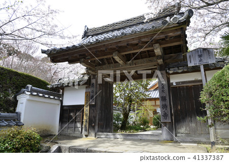 Katsukiji Temple Katsukiji Temple 41337387