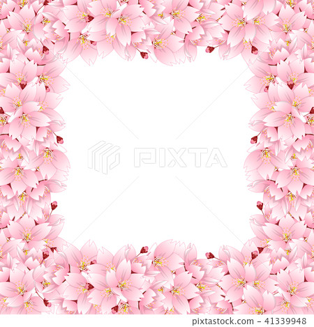 Sakura Cherry Blossom Flower Border Stock Illustration