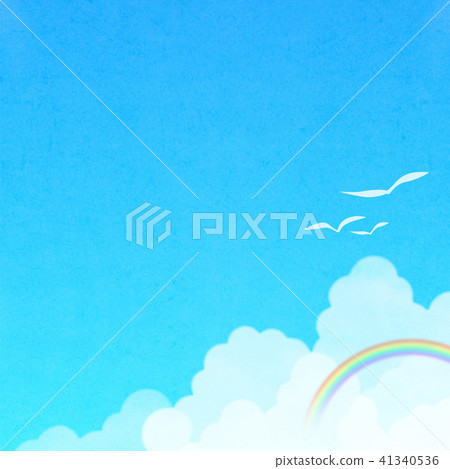 Background material Cloud cover and seagulls 41340536