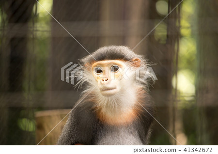 Duncan Gourl 41342672