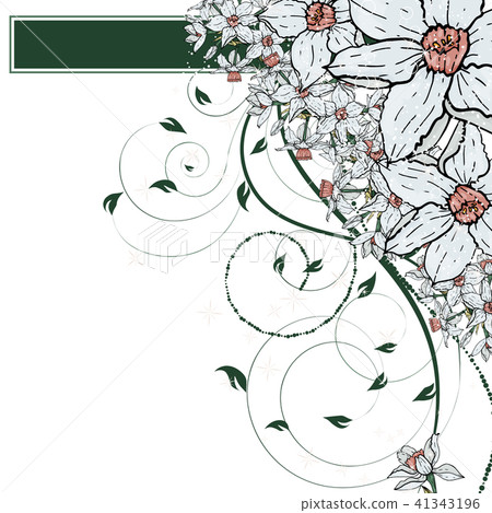 Vector hand drawing Narcissus flowers background Vector hand drawing Narcissus flowers background 41343196