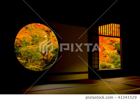 Autumn leaves seen from the window of Konamian in Kyoto Autumn leaves seen from the window of Konamian in Kyoto 41343329