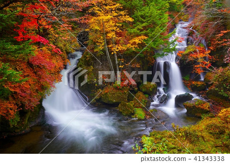 Nikko's autumn leaves sightseeing spot Ryusokuno Falls Nikko's autumn leaves sightseeing spot Ryusokuno Falls 41343338