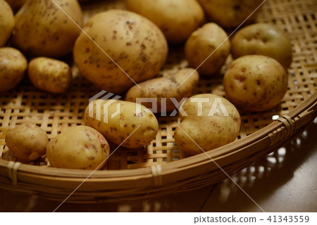 土豆土豆收穫作物蔬菜 土豆土豆收穫作物蔬菜 41343559