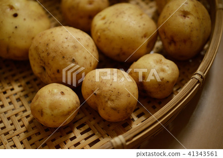 土豆土豆收穫作物蔬菜 土豆土豆收穫作物蔬菜 41343561