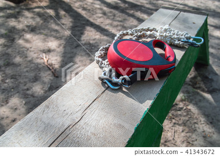 Leash doggy. Concept of dog training obedience. Leash doggy. Concept of dog training obedience. 41343672