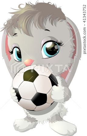 beautiful cute rabbit beautiful cute rabbit 41343752