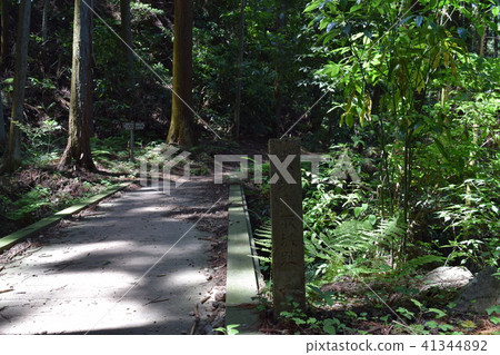 Road to Takatori Castle (2) 41344892