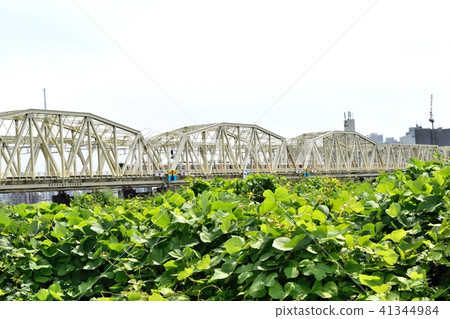 東武天空樹線50050系列運行荒川大橋 41344984