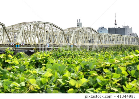 Arakawa河床荒川河跑過橋比比亞線 41344985