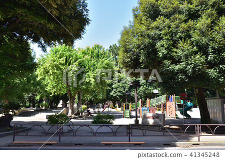 世田谷Wakabayashi公園風景 41345248