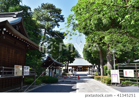 Inside the precincts of Shogun Shrine Inside the precincts of Shogun Shrine 41345251