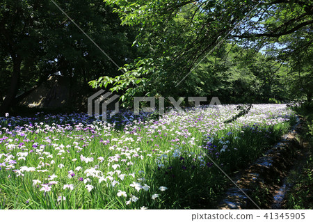 Akahori花Shobuen庭院 Akahori花Shobuen庭院 41345905