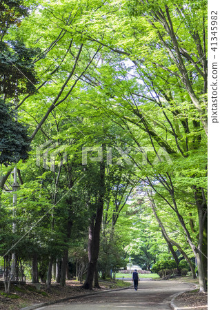 Nagoya Park Nagoya City, Aichi Prefecture 41345982