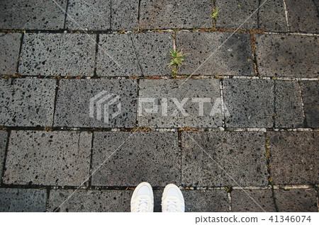 美麗的濟州玄武岩小徑 41346074