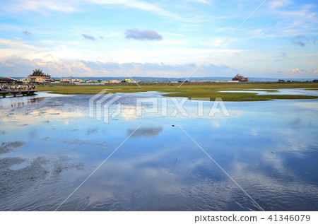 Gaomei Wetland Taichung Taiwan Coast Gaomei Wildlife Sanctuary Gaomei Wetland Gaomei Wetlands Gaomei Wetland Taichung Taiwan Coast Gaomei Wildlife Sanctuary Gaomei Wetland Gaomei Wetlands 41346079
