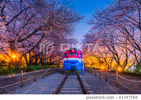 Gyeonghwa station at Night.Jinhae,South Korea Gyeonghwa station at Night.Jinhae,South Korea 41347568