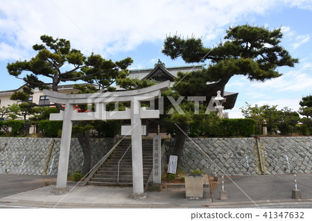 Sumiyoshi Shrine 41347632