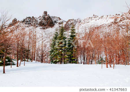 Hokkaido Usuzan mountain in winter foliage Hokkaido Usuzan mountain in winter foliage 41347663