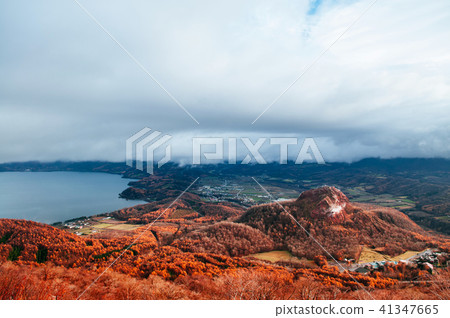 Hokkaido Showashinzan mountain forest in winter 41347665