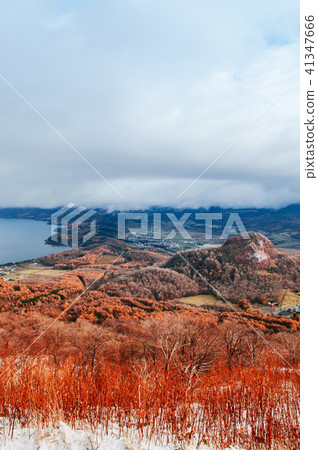 Hokkaido Usuzan mountain forest and lake Toya 41347666