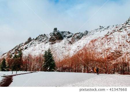 Hokkaido Usuzan mountain forest winter foliage 41347668