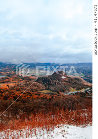 Hokkaido Showashinzan mountain forest in winter 41347673