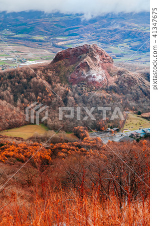 Hokkaido Showashinzan mountain forest in winter 41347675