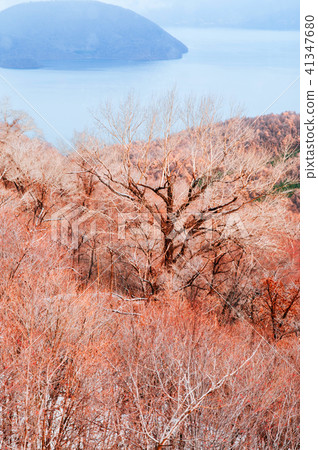Hokkaido Usuzan mountain forest and lake Toya 41347680