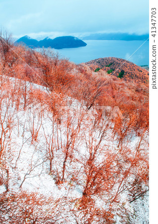 Hokkaido Usuzan mountain forest and lake Toya Hokkaido Usuzan mountain forest and lake Toya 41347703