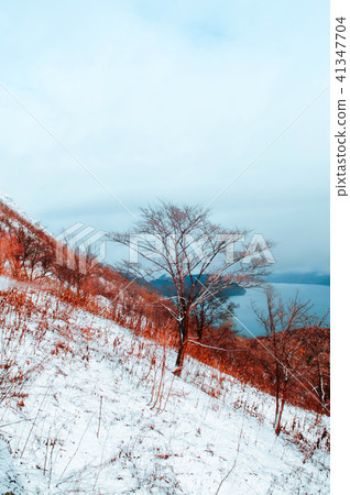 Hokkaido Usuzan mountain forest and lake Toya Hokkaido Usuzan mountain forest and lake Toya 41347704