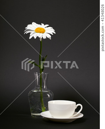 flower is in vase on blank background 41348026