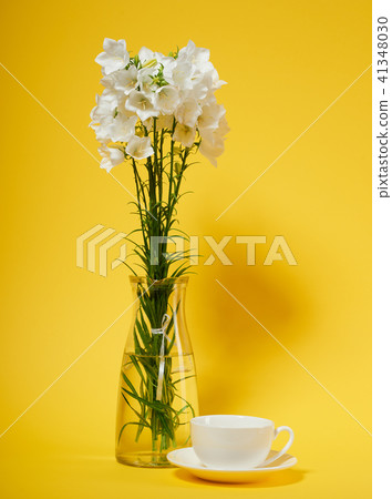 flower is in vase on blank background 41348030