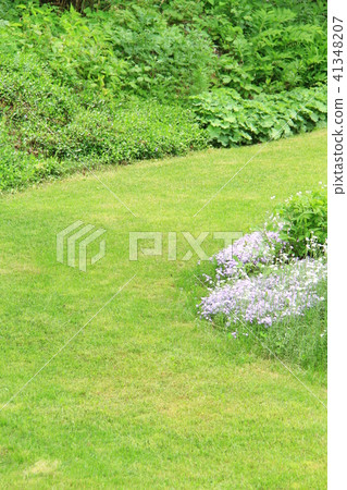 鮮綠色,手工草坪,花園,大面積播種的草坪,私人草坪花園 鮮綠色,手工草坪,花園,大面積播種的草坪,私人草坪花園 41348207