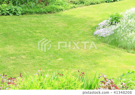 鮮綠色,手工草坪,花園,大面積播種的草坪,私人草坪花園 鮮綠色,手工草坪,花園,大面積播種的草坪,私人草坪花園 41348208