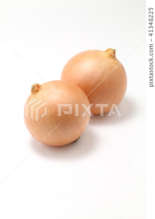 兩個洋蔥，白色背景 41348225
