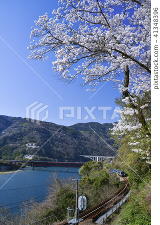 春天池田大壩 41348396