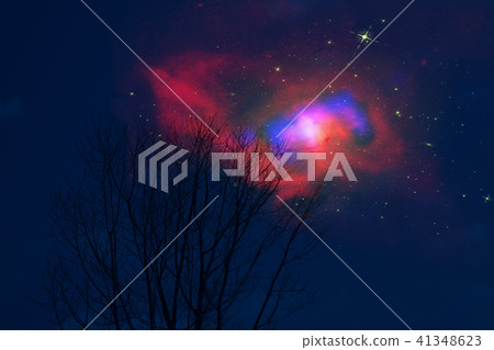 Galaxy night cloud sunset sky silhouette dry tree 41348623