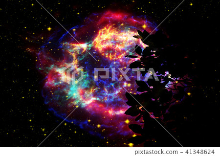 Galaxy night cloud sunset sky silhouette dry tree 41348624