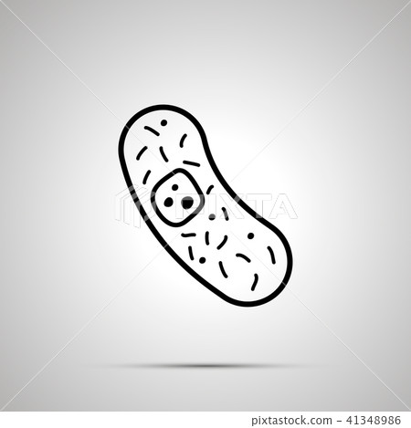 Primitive living cell with core and mitochondri 41348986