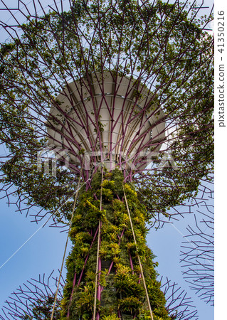 detail of the park gardens by the bay singapore 41350216