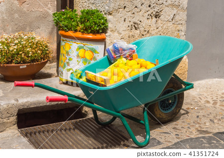 Wheelbarrow filled with lemons and strawberries 41351724