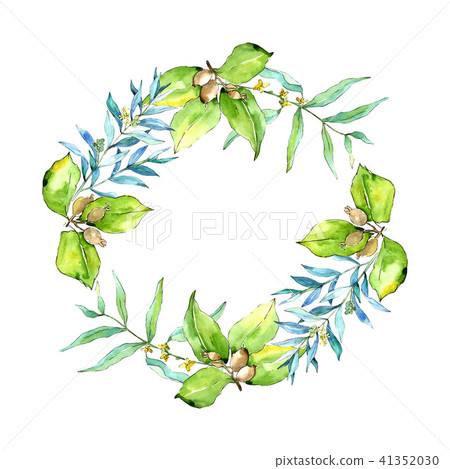 Green elaeagnus leaves. Leaf plant botanical garden floral foliage. Frame border ornament square. 41352030