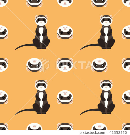 Seamless pattern with cute ferret. Vector flat design illustration. Seamless pattern with cute ferret. Vector flat design illustration. 41352350