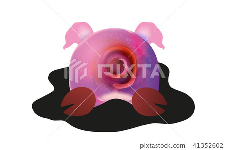 The ass of a cute pig 41352602