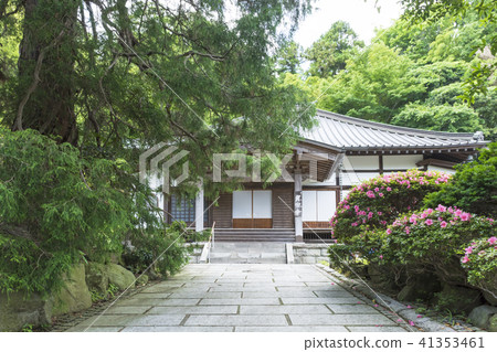 Sadajongji temple (Kamakura-shi planting tree) Sadajongji temple (Kamakura-shi planting tree) 41353461