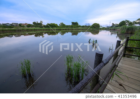 Maorin-jima Marshland Gunma prefecture Tatebayashi City Maorin-jima Marshland Gunma prefecture Tatebayashi City 41353496