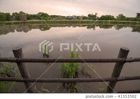 Maorin-jima Marshland Gunma prefecture Tatebayashi City Maorin-jima Marshland Gunma prefecture Tatebayashi City 41353502
