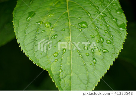 雨天離開與waterdrops離開 雨天離開與waterdrops離開 41353548
